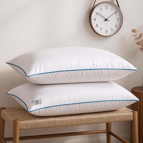 THE WOOD WHITE Basic White Pillow Pack of 2 in 41 x 61 cm with Extra Focus Blue Border & Plush Microfibre Filling